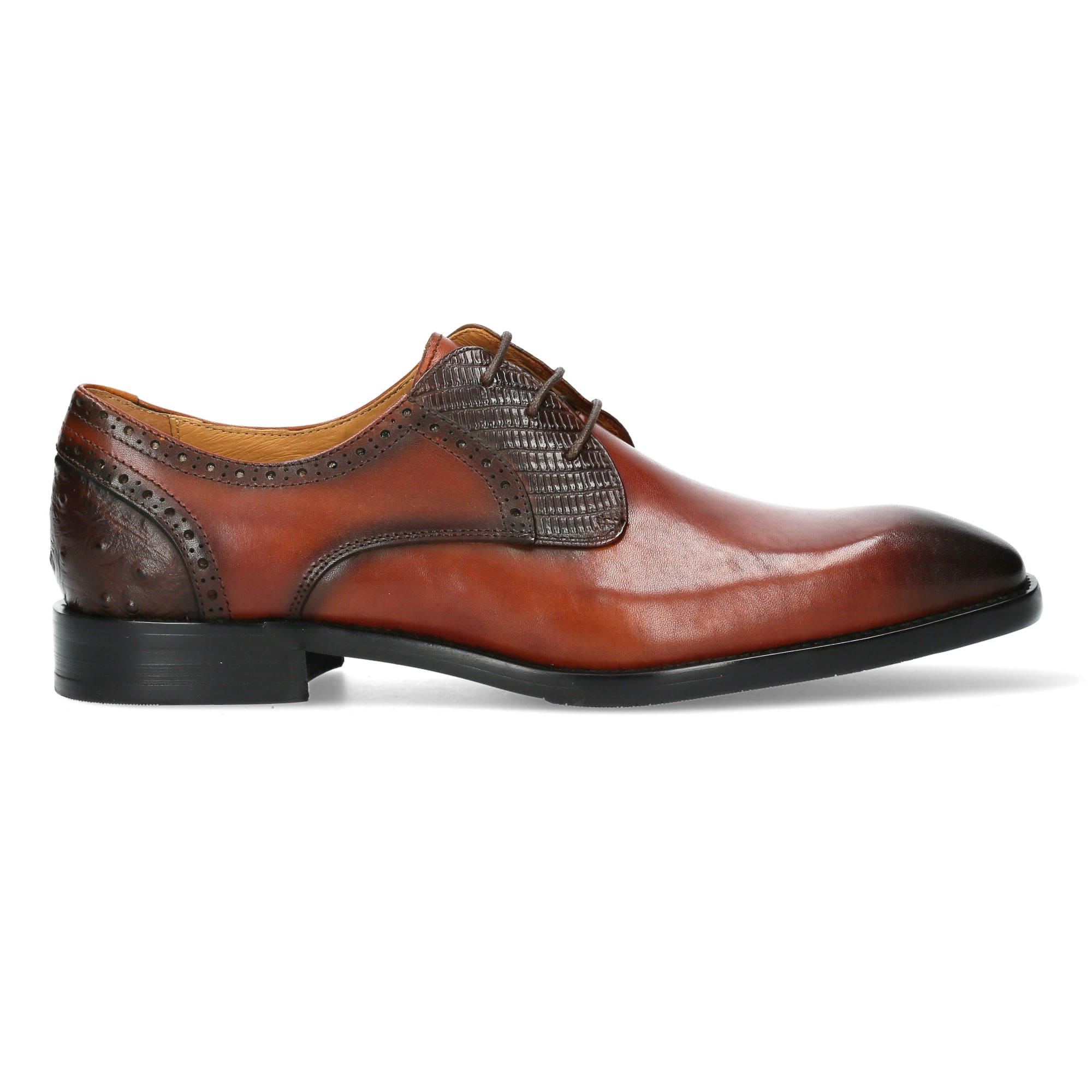 Chaussure Homme ALVIN 02